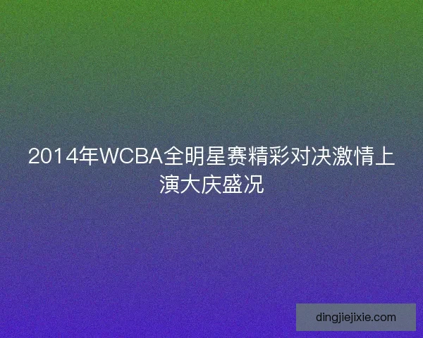 2014年WCBA全明星赛精彩对决激情上演大庆盛况 2014年WCBA全明星赛精彩对决激情上演大庆盛况