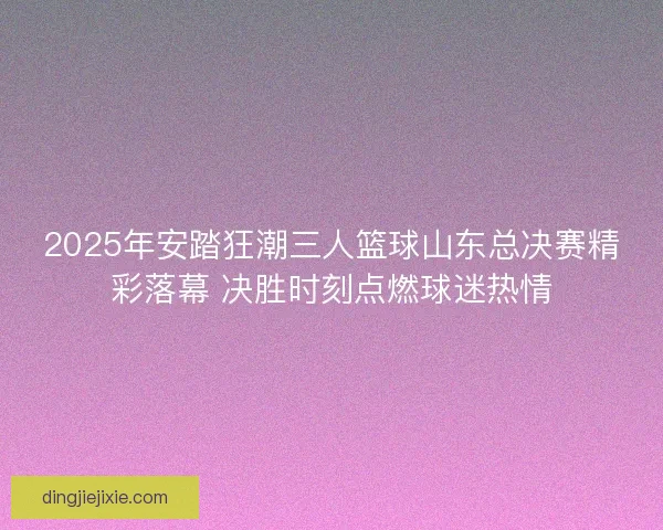 2025年安踏狂潮三人篮球山东总决赛精彩落幕 决胜时刻点燃球迷热情