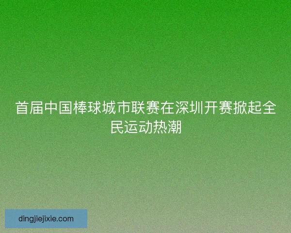 首届中国棒球城市联赛在深圳开赛掀起全民运动热潮 首届中国棒球城市联赛在深圳开赛掀起全民运动热潮