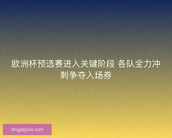 欧洲杯预选赛进入关键阶段 各队全力冲刺争夺入场券
