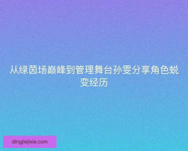 从绿茵场巅峰到管理舞台孙雯分享角色蜕变经历
