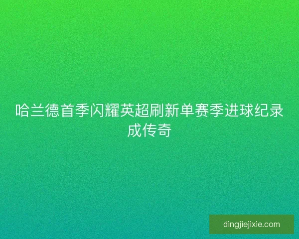 哈兰德首季闪耀英超刷新单赛季进球纪录成传奇 哈兰德首季闪耀英超刷新单赛季进球纪录成传奇